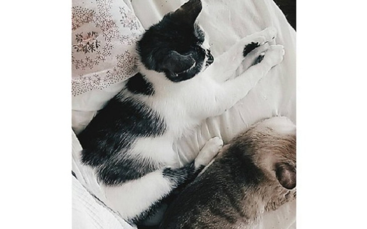 Zbiórka Pomóż opłacić leczenie Lileczki! - zdjęcie główne