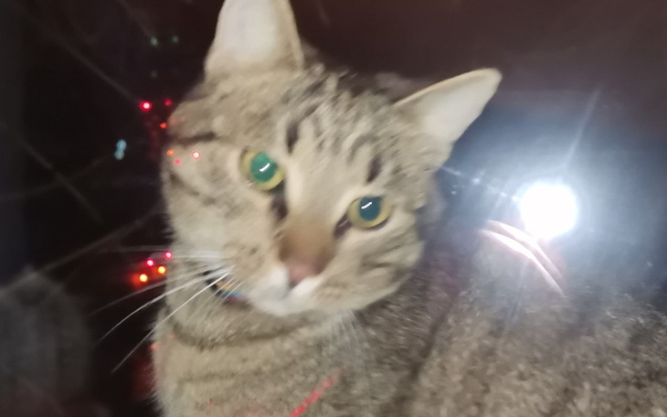 Zbiórka Komputer do Gier3k - zdjęcie główne