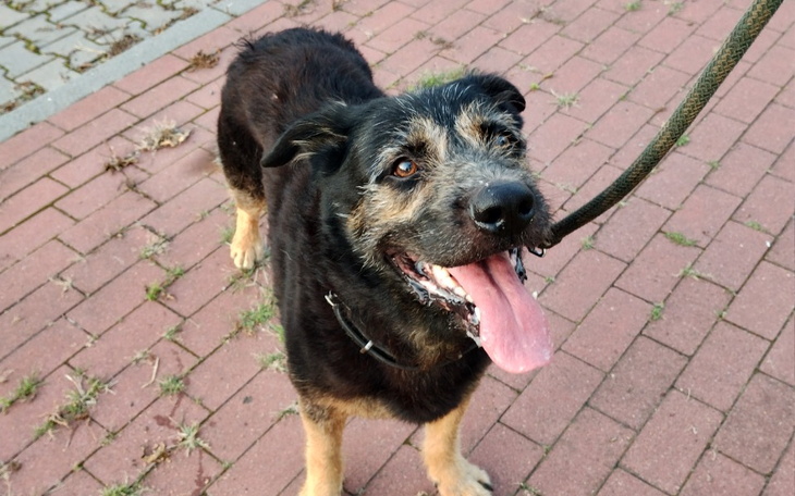 Zbiórka Blaki - zdjęcie główne