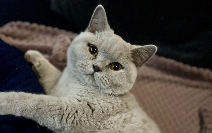 Zbiórka Czesiu i jego walka o życie - zdjęcie główne