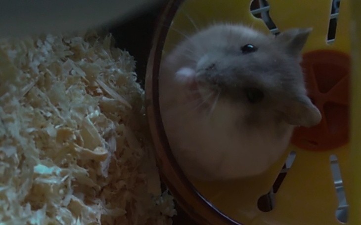 Zbiórka Na lepsze warunki Mańka - zdjęcie główne