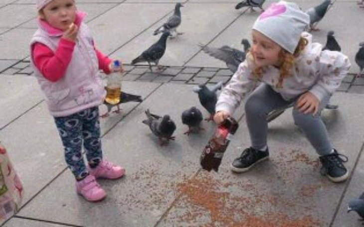 Zbiórka Na opłaty i żywność - zdjęcie główne