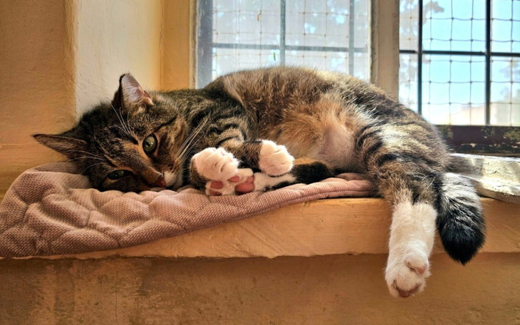 Zbiórka Nie da się żyć bez jedzenia... - zdjęcie główne