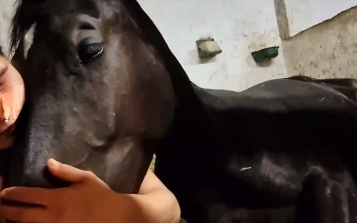 Zbiórka Zbiorka na utrzymanie zwierząt - zdjęcie główne