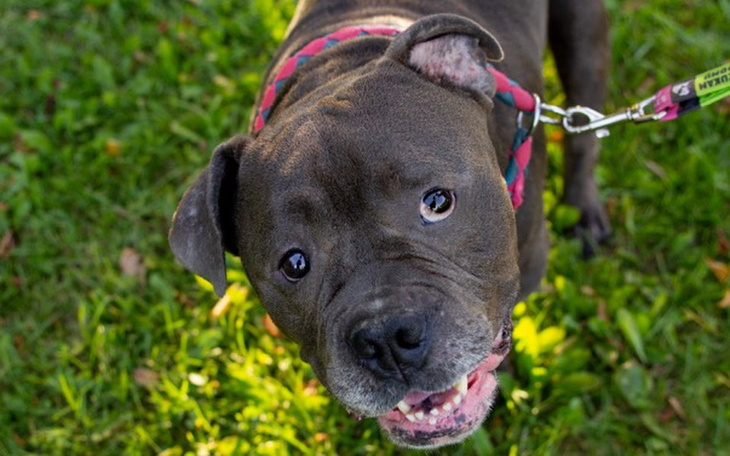 Zbiórka Zerujemy długi Pampucha - zdjęcie główne