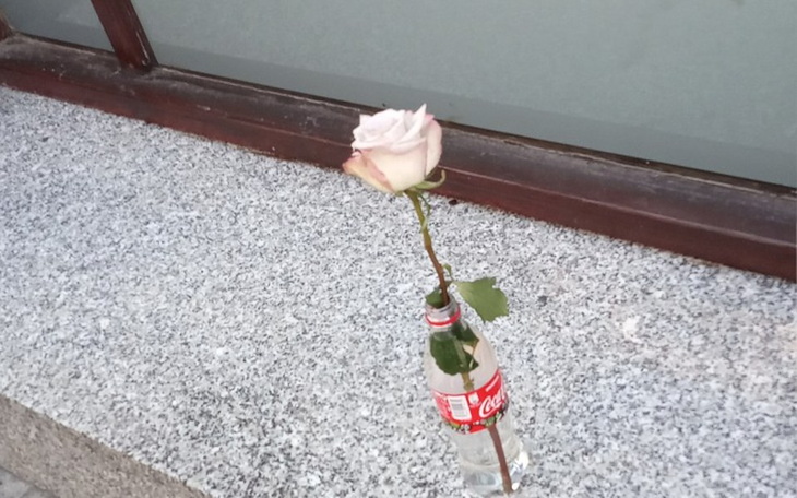 Zbiórka Na jedzenie dla mnie i mamy - zdjęcie główne