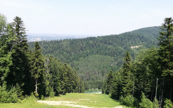 Zbiórka Prawo jazdy! Kat B - zdjęcie główne