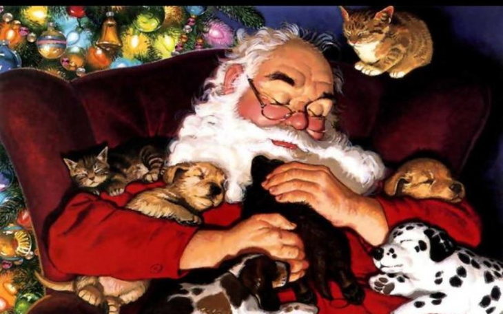 Zbiórka Magiczna Iskierka Miłości 2022 - zdjęcie główne