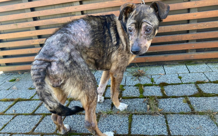 Zbiórka Łysiejąca Sonia i Sebuś - zdjęcie główne