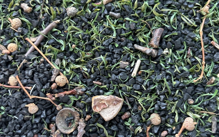 Zbiórka Zbieram na ipada dla przyjaciolk - zdjęcie główne