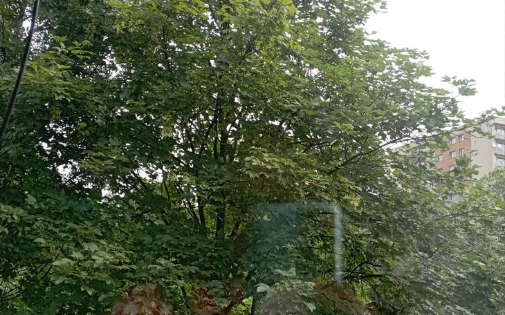 Zbiórka Ogródeczek działkowy - zdjęcie główne