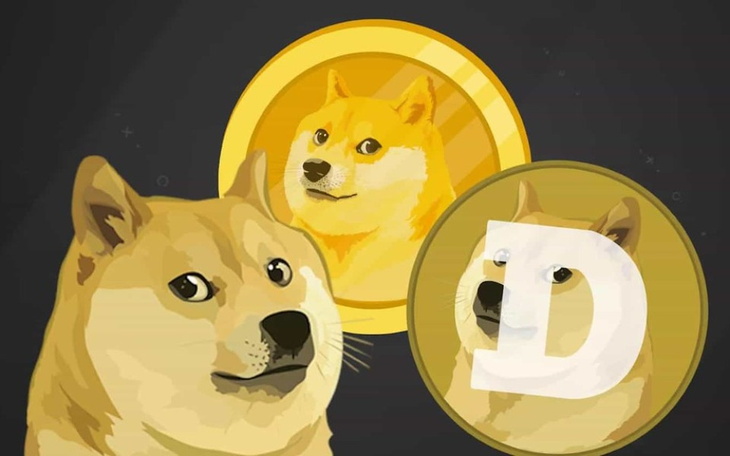 Zbiórka Na DogeCoin Dla innych fundacji - zdjęcie główne