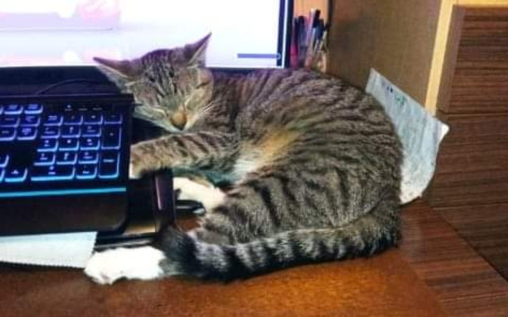 Zbiórka Transport do lepszego zycia - zdjęcie główne