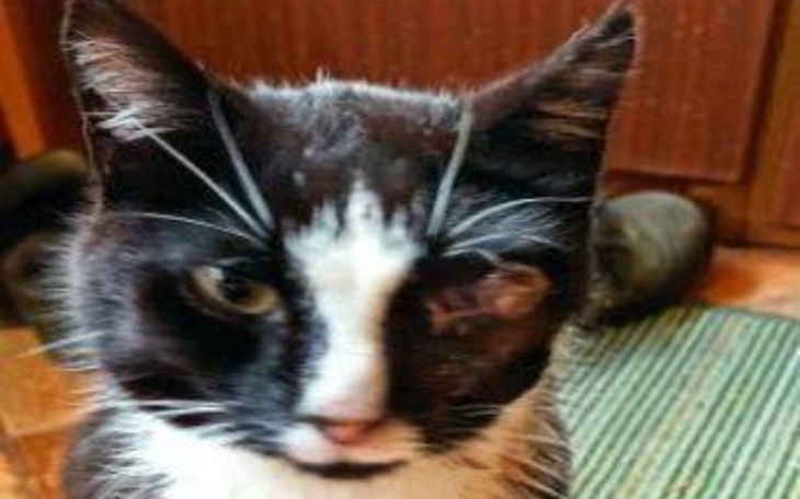 Zbiórka Wybili mi oczko - zdjęcie główne