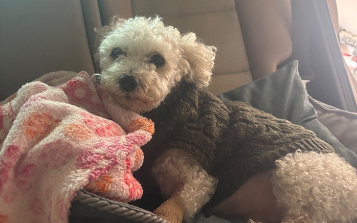 Zbiórka W walce z niewydolnością nerek - zdjęcie główne