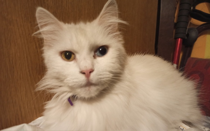 Zbiórka Z tęsknoty... - zdjęcie główne