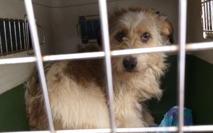 Zbiórka Radysy...miał być 1 są 3... - zdjęcie główne