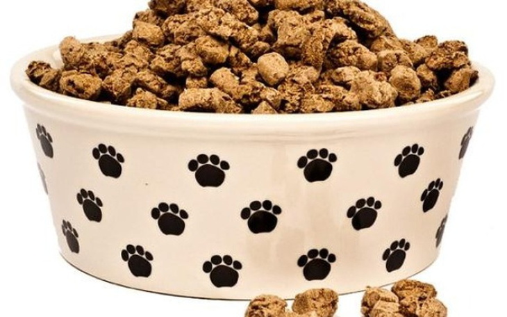 Zbiórka Zbiórka na karmę psiaków - zdjęcie główne