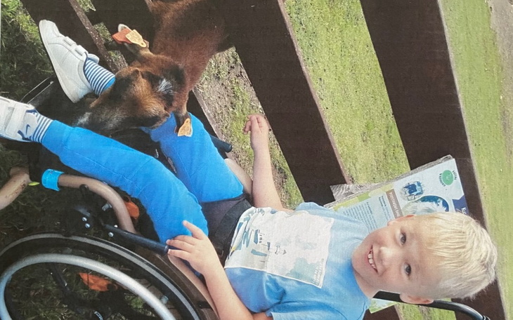 Zbiórka Inwalidzki wózek - zdjęcie główne