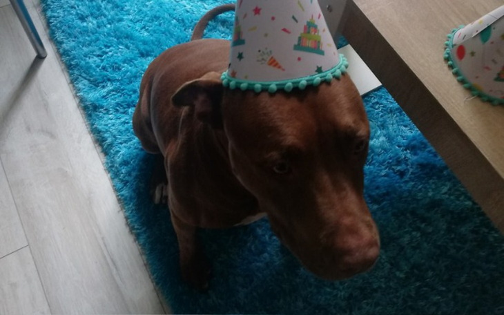 Zbiórka Pomocy pomocy - zdjęcie główne