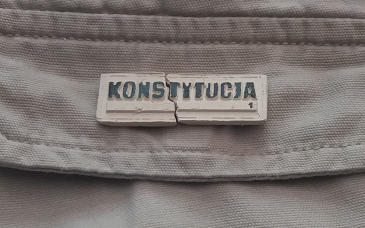 Zbiórka KONSTYTUCJA 1,2,3...policzmy się - zdjęcie główne