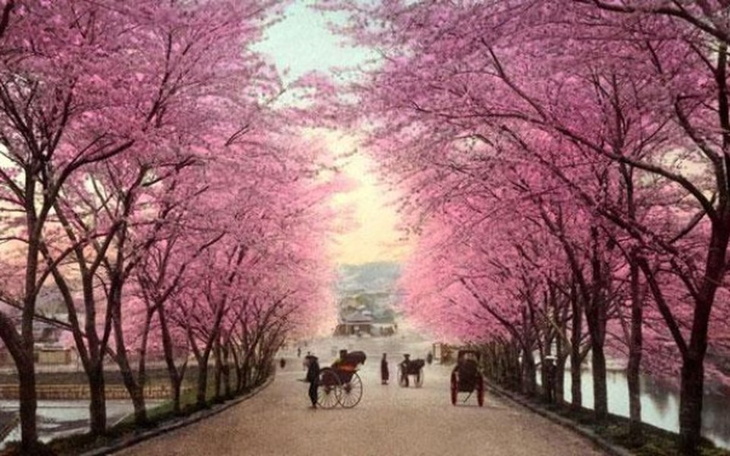 Zbiórka Wyjazd Do Japonii - zdjęcie główne