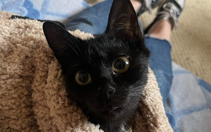 Zbiórka Na kolejny oddech Perełki - zdjęcie główne