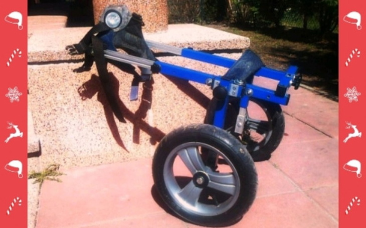 Zbiórka Pokerkowy wózek na gwiazdkę - zdjęcie główne