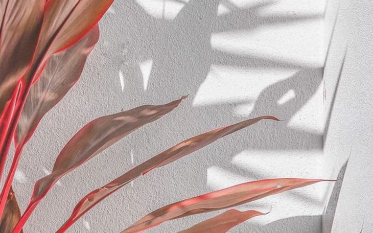 Zbiórka Na chleb dla ptaszków - zdjęcie główne