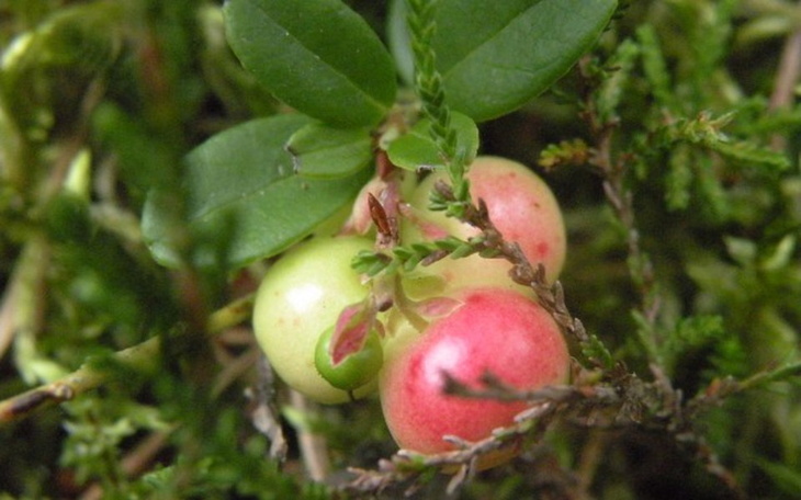Zbiórka Pomóżcie mi spłacić długi - zdjęcie główne
