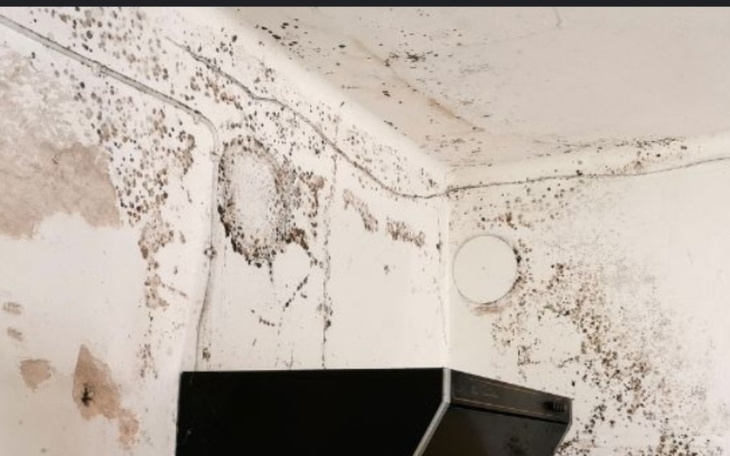 Zbiórka Remont i pokój dla syna - zdjęcie główne