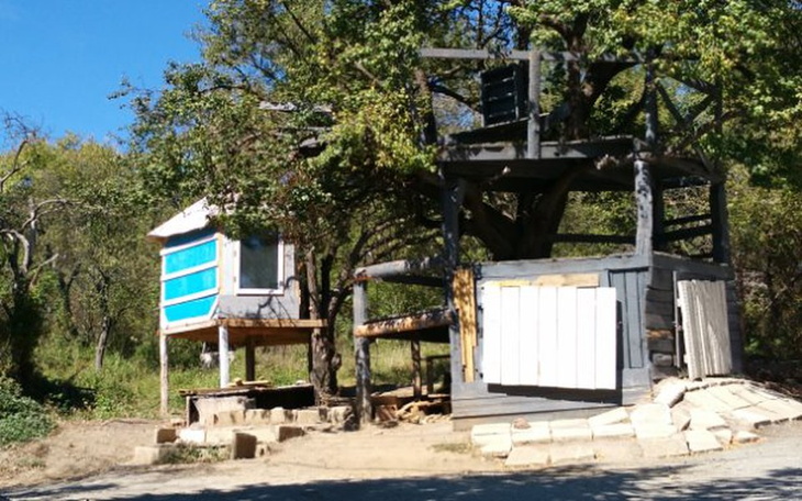 Zbiórka Ratujemy domek na drzewie! - zdjęcie główne