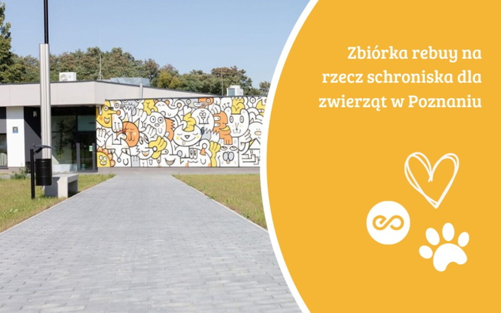 Zbiórka rebuy dla schroniska - zdjęcie główne