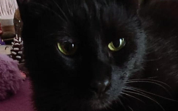 Zbiórka Bede walczył póki starczy mi sil - zdjęcie główne