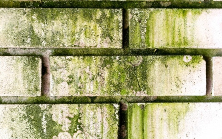 Zbiórka Zabrakło nam na remont domu - zdjęcie główne