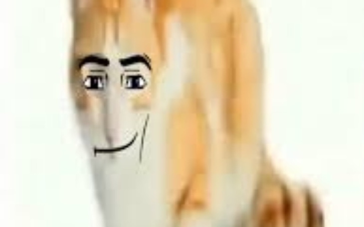 Zbiórka Body pillow furry dla dawida - zdjęcie główne