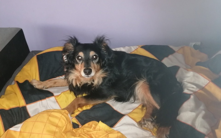 Zbiórka Na operacje Misi - zdjęcie główne