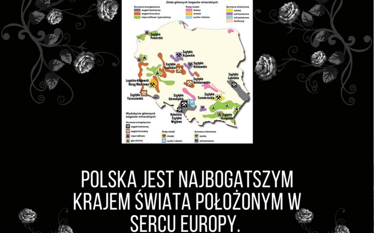 Zbiórka Ratujmy nasze zasoby naturalne - zdjęcie główne