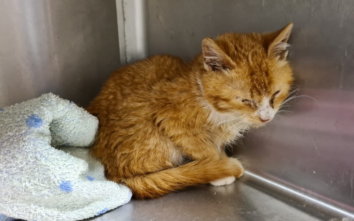 Zbiórka Życie na śmietniku - zdjęcie główne