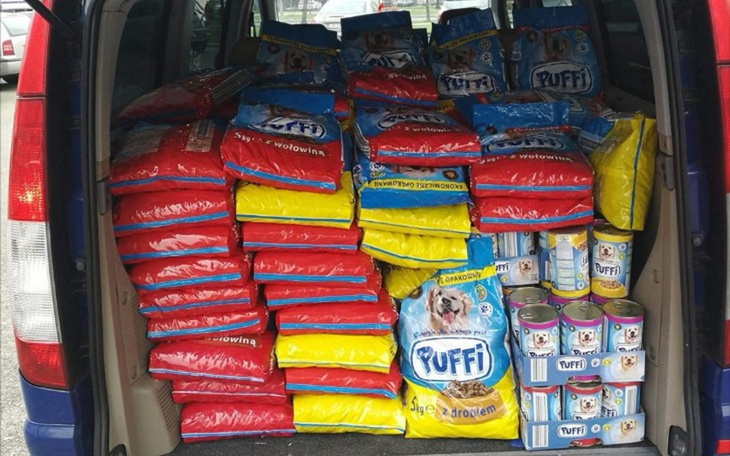 Zbiórka Schronisko z problemami - zdjęcie główne