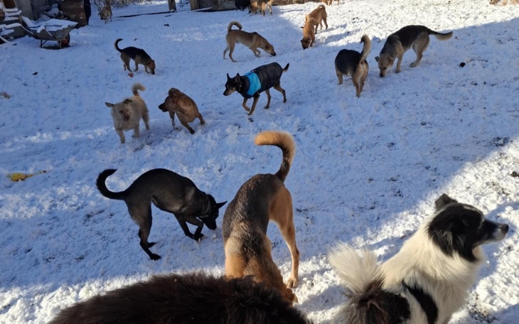 Zbiórka Pomoc dla wspaniałej dziewczyny - zdjęcie główne