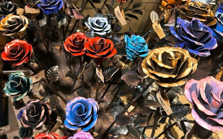 Zbiórka rozwój i edukacja - zdjęcie główne