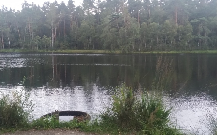 Zbiórka Dla moich przyjaciół - zdjęcie główne