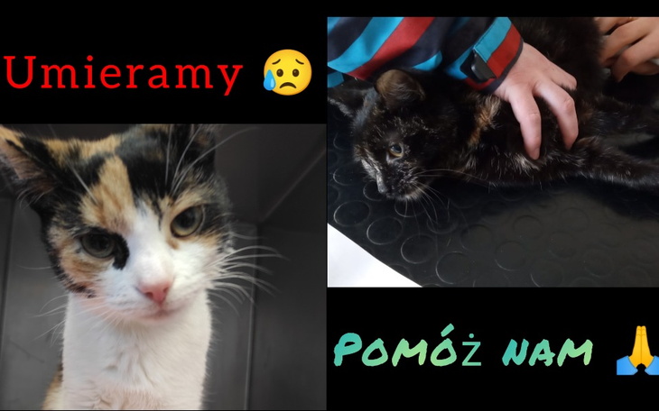 Zbiórka ...a miało być tak pięknie - zdjęcie główne