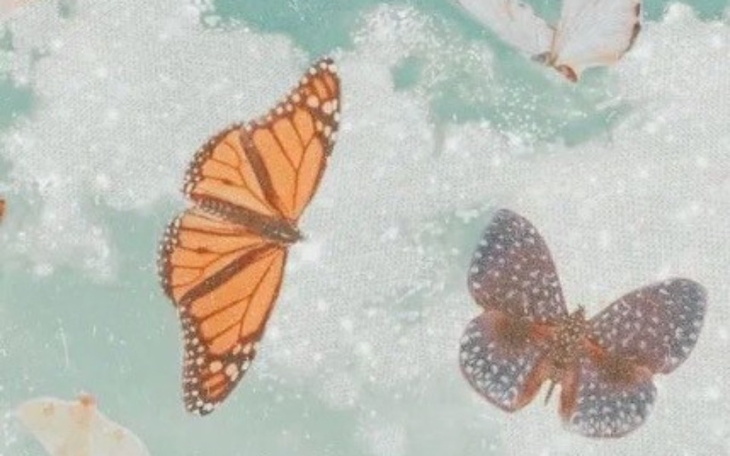 Zbiórka Ratuje konia - zdjęcie główne