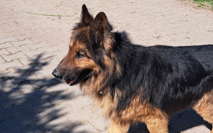 Zbiórka Tomograf dla Dragona - zdjęcie główne