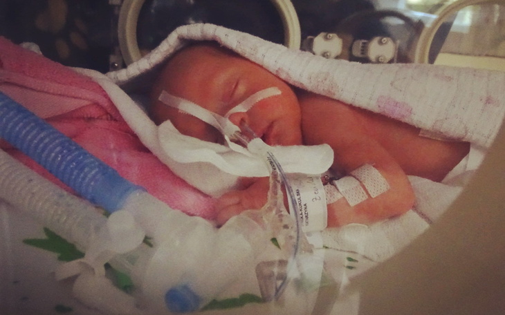 Noworodek w inkubatorze, otulony w kocyk.