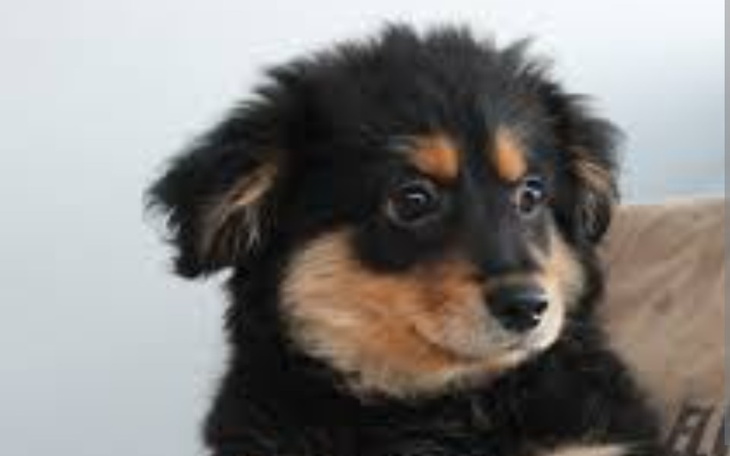 Zbiórka Pomoc dla wyrzuconego nastolatka - zdjęcie główne