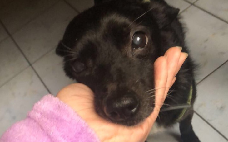 Zbiórka Marze o nowym uśmiechu - zdjęcie główne