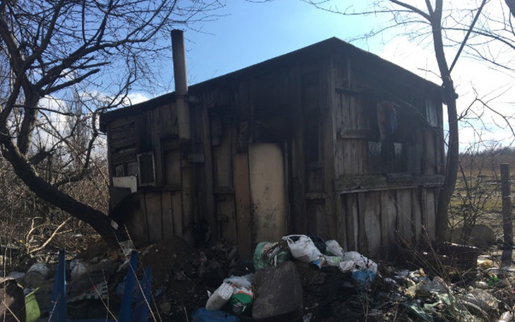 Zbiórka Dom dla kotów i ich Aliny - zdjęcie główne